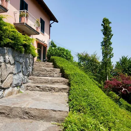 Belvedere Apartament